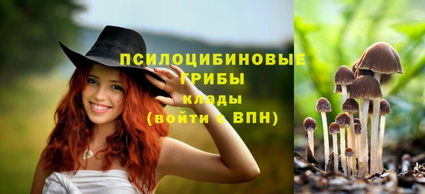 ПСИЛОЦИБИНОВЫЕ ГРИБЫ Алзамай