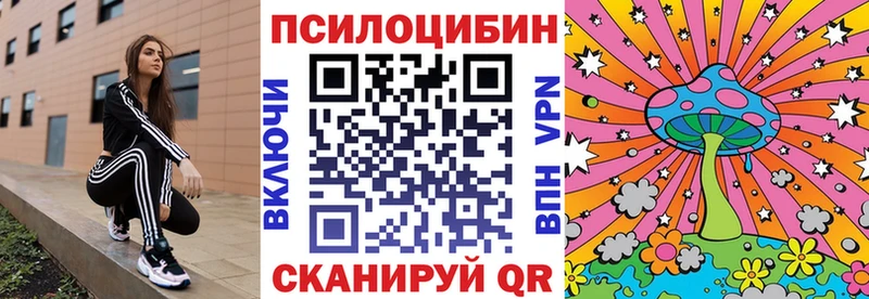 Галлюциногенные грибы Psilocybe Прохладный