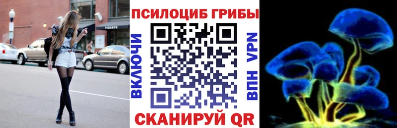 Галлюциногенные грибы Psilocybine cubensis Прохладный